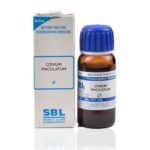 SBL Conium Maculatum Mother Tincture 1X(Q) for urinary infections sexual weakness Relieves pain heartburn