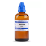SBL Homeopathy Gnaphalium Polycephalum  Dilution (30 ML / 100 ML) For Muscle Pain, Joint Pain