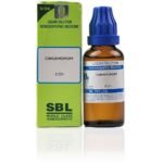 SBL Cinnamomum Dilution (30ml) for vomiting nausea cough diarrhoea blood pressure