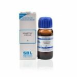 SBL Equisetum Hyemale Mother Tincture (Q) (30ml) for headache relieving pain kidneys pain