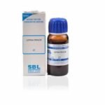 SBL  Lemna Minor Mother Tincture (Q) 30ml for swelling diarrhoea headache