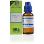 SBL  Phytolacca Berry Dilution 30ml for weight loss acidity joint pain