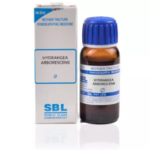 SBL Hydrangea Arborescens Mother Tincture Q for urinary disorders