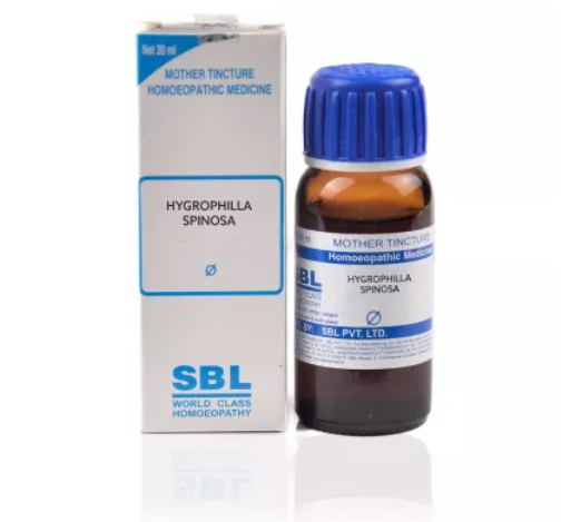 SBL-Hygrophilla-Spinosa-1X-Q-30ml.1.png SBL Hygrophila Spinosa Mother Tincture Q for Indigestion Acidity Gas - Image 1