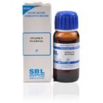SBL Origanum Majorana Mother Tincture 1X (Q) (30ml) for headache Pimples