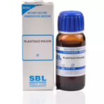 SBL Plantago Major Mother Tincture Q for scars cough digestion gastritis