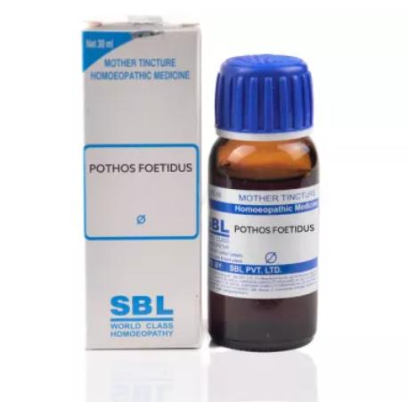SBL-Pothos-Foetidus-1X-Q-30ml.1.png SBL Pothos Foetidus Mother Tincture Q for swelling headaches chest pains itching swelling - Image 1