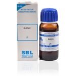 SBL Rheum  Mother Tincture 1X (Q) (30ml) for headache diarrhoea anxiety