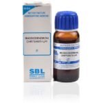 SBL Rhododendron Chrysanthum Mother Tincture 1X (Q) (30ml) for Joints pain Vomiting