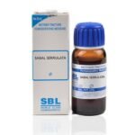SBL Sabal Serrulata Mother Tincture 1X(Q) 30ml for anxiety cough