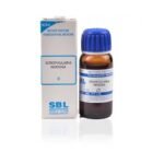 SBL Scrophularia Nodosa Mother Tincture (Q) 30ml for eczema liver care