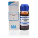 SBL Teucrium Marum Verum Mother Tincture 1X (Q) (30ml) for stuffy nose  cough & cold