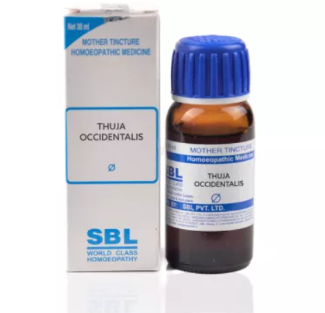 SBL-Thuja-Occidentalis-1X-Q-30ml.1.png SBL Thuja Occidentalis Mother Tincture Q , for Warts, overgrowth of tisses Arthritis Rheumatism - Image 1