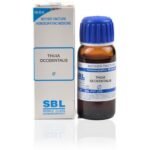 SBL Thuja Occidentalis Mother Tincture 1X(Q) 30ml for swelling anxiety headache eczema indigestion