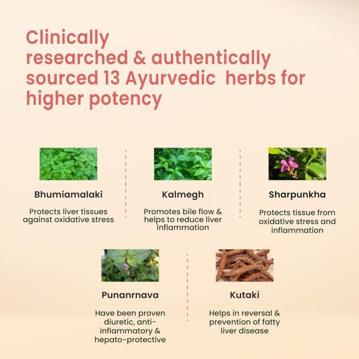 Vedistry Livercare Tablets | Ayurvedic Liver Detox Supplement for Fatty Liver & Sluggish Metabolism | Clinically tested | 22% reversal in fatty liver | Ayurvedic Liver Care with Bhumiamalaki, Kutaki & Amalaki for Detox & Liver Restoration – 60 Tablets - Image 4
