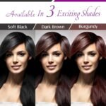 Vegetal Bio Hair Colour - Soft Black | 50g | Achieve Natural, Ammonia-Free Hair Color | PPD-Free, 100% Herbal Certified Organic for Men and Women | UV Protection and Luster Maintenance | Complete Kit - Image 5