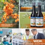 WDK Sea Buckthorn Juice 500ml – Pure Natural Himalayan Berry Juice, Sugar-Free, Rich in Vitamin C, Omega 3 6 7 9, Powerful Antioxidant, Boosts Immunity, Improves Skin Glow, Supports Digestion & Overall Health - Image 6