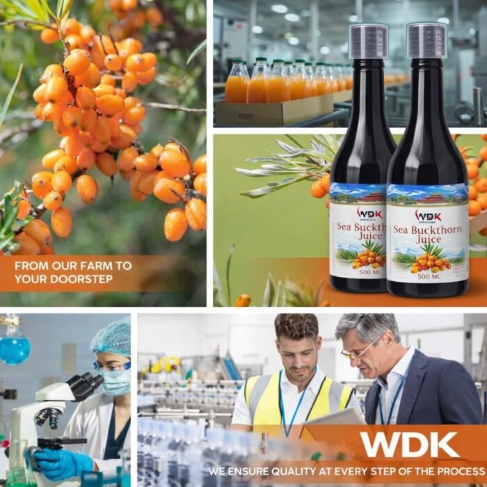 WDK Sea Buckthorn Juice 500ml – Pure Natural Himalayan Berry Juice, Sugar-Free, Rich in Vitamin C, Omega 3 6 7 9, Powerful Antioxidant, Boosts Immunity, Improves Skin Glow, Supports Digestion & Overall Health - Image 6