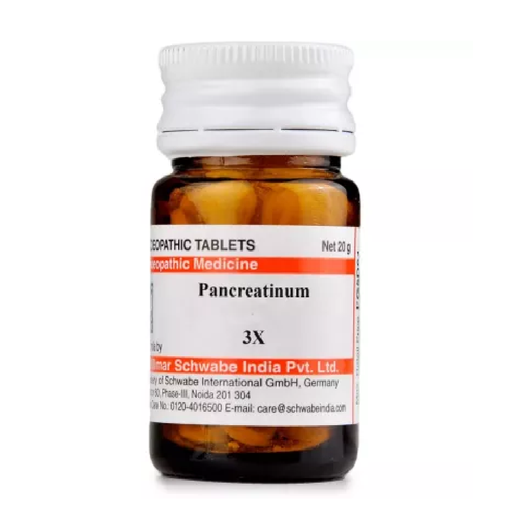 Willmar-Schwabe-India-Pancreatinum-3X-20g.png Willmar Schwabe India Pancreatinum (20g) For Diabetes Care - Image 1