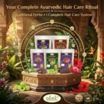 Biotic Natural Shikakai, Amla, Reetha, Bhringraj, Hibiscus Powder - 500 gms (100 gms Each) - Image 2