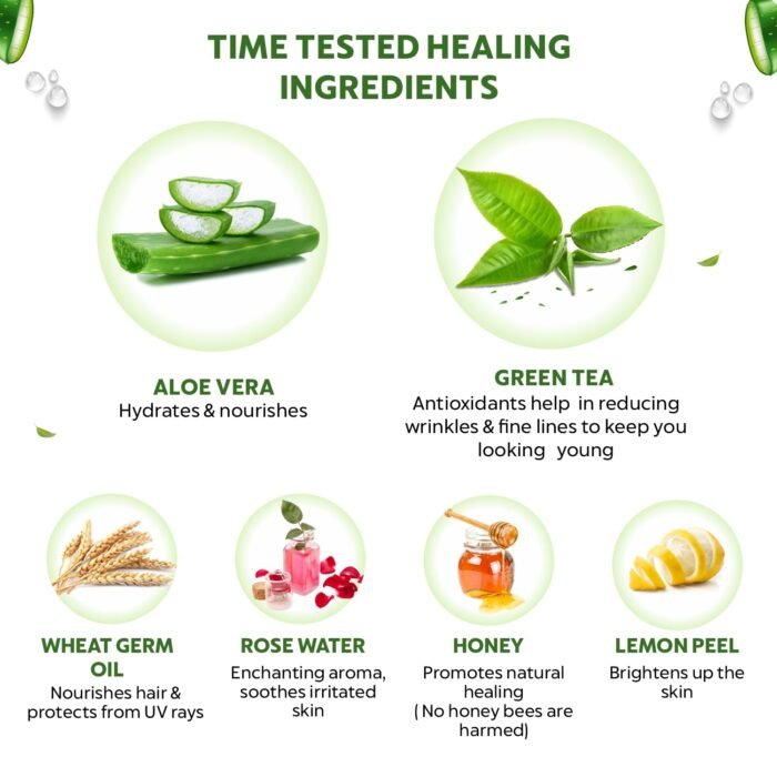 INDUS VALLEY Bio Organic Pure Multipurpose Aloe Vera Gel With Green Tea Extract For Face, Body & Hair,For Glowing & Soothing Skin, Anti-Ageing & Acne, Suitable to All Skin Type (175ml) - Image 2