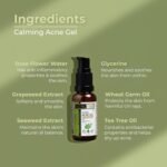 Indus Valley Calming Acne Gel with Seaweed Extract & Tea Tree Oil for Pimples, Soothes, Clarifies, and Refreshes Skin Naturally – 30ml - Image 3