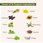 INDUS VALLEY Bio Organic 100% Pure and Natural Indigo Powder and Herbal Henna Powder Combo for Hair Colour (100gm Each) - Image 2