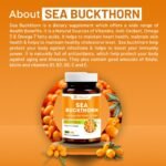 Sea Buckthorn Capsules for Daily Wellness & Skin Nutrition | 500 mg | 60 Vegetarian Capsules | Natural Herbal Supplement for Active Lifestyle & Overall Health Support - Image 4