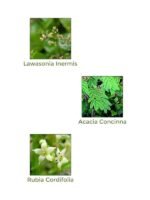 Vegetal Certified Organic and Herbal Henna Powder, for Natural Hair Coloring, Protects hair Damage from Chemical Hair Color - 100g - Image 6