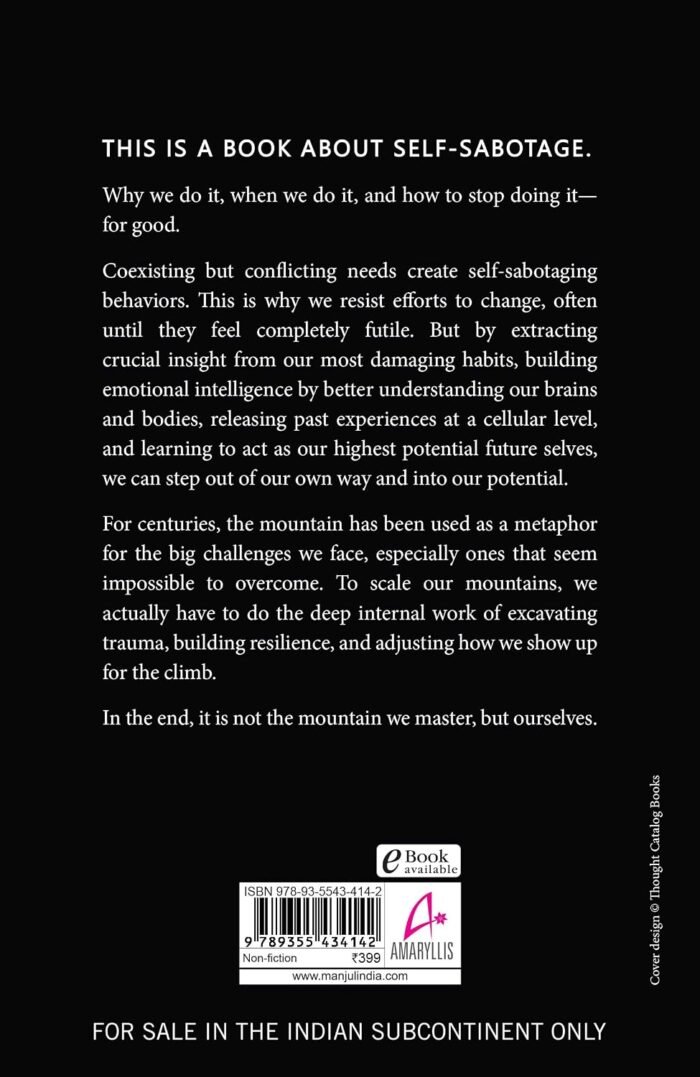The Mountain Is You: Transforming Self-Sabotage Into Self-Mastery - Image 2