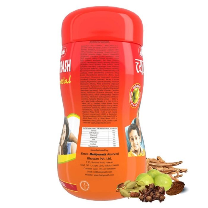Baidyanath Chyawanprash (Special) (500g) For OmniProtection - Image 2
